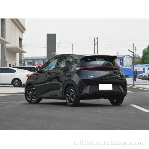 Byd Seagull Mini Auto 2023 più economico in stock Edizione vigorosa Lettonia CEE Electric Car